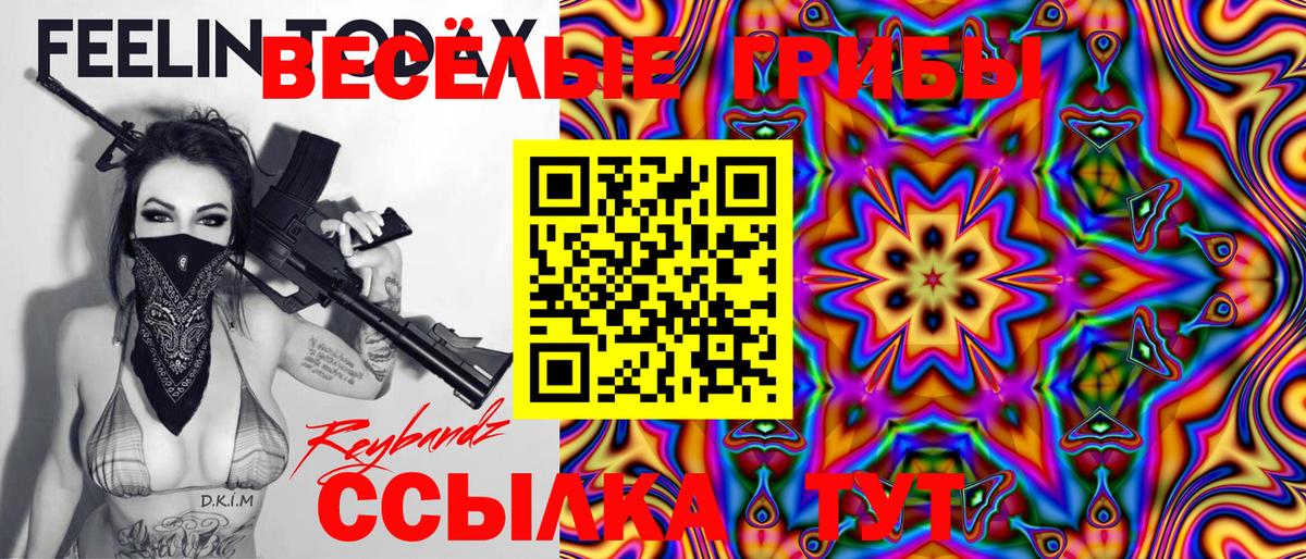 Гурьевск  Псилоцибиновые грибы Psilocybe  Вход с VPN 