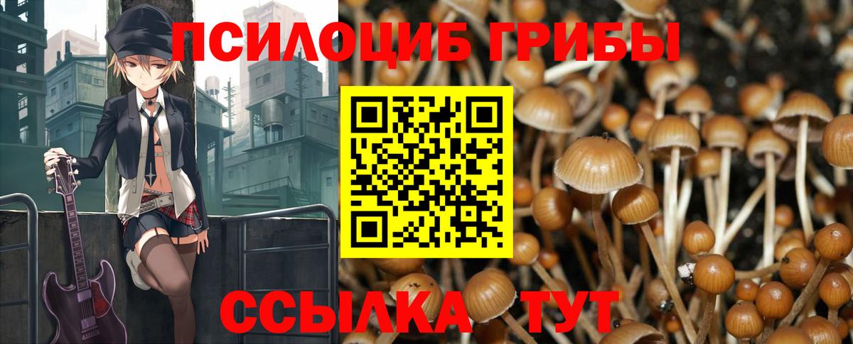 Галлюциногенные грибы прущие грибы Гурьевск